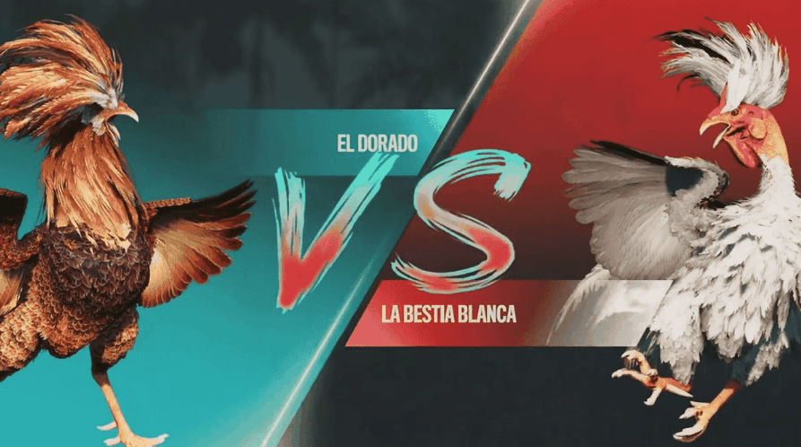 xjwin Jogos de Vídeo e Esportes Digitais